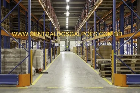 Galpão/Depósito/Armazém para alugar, 1000m² no Cavaleiro, Jaboatão dos Guararapes