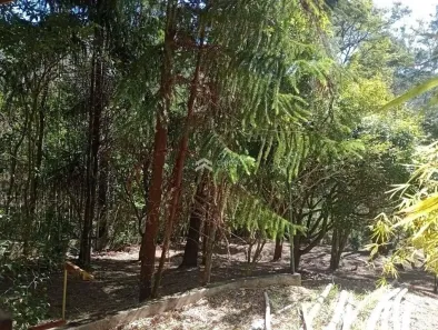 Lote/Terreno à venda, 2116m² no Loteamento Recanto da Paz, São Roque