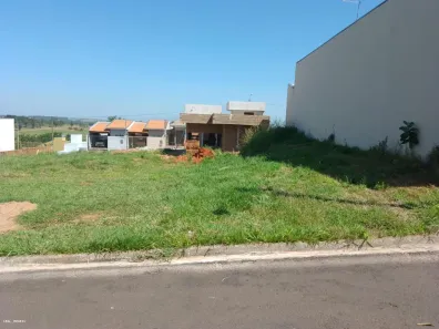 Lote/Terreno à venda, 245m² no , Alfredo Marcondes