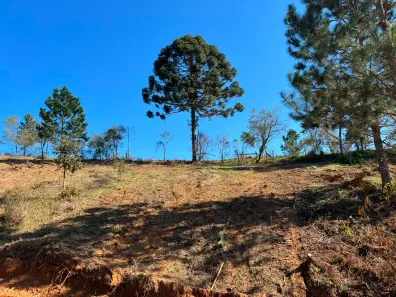 Lote/Terreno à venda, 500m² no Jardim Cruzeiro Gleba B, Mairinque