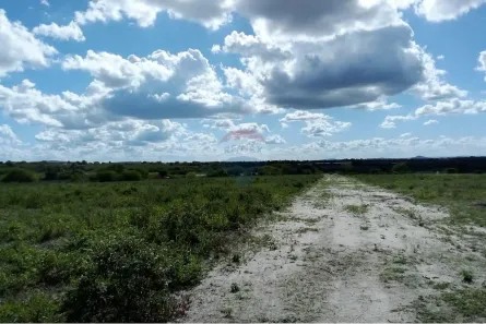 Fazenda/Sítio à venda, 840m² no , Lajedo