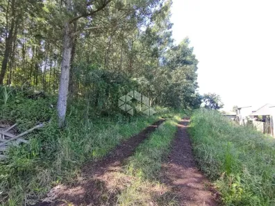 Lote/Terreno com 1 Quarto à venda, 79772m² no , Presidente Lucena