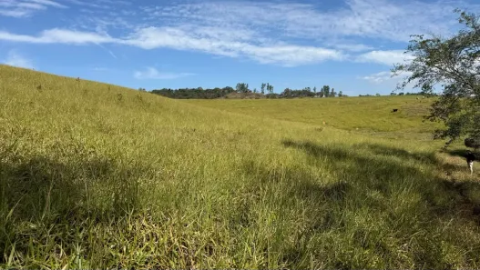 Fazenda/Sítio com 1 Quarto à venda, 312000m² no , Ouro Fino