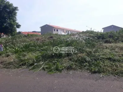 Lote/Terreno à venda, 522m² no Parque Residencial Piracicaba - Balbo, Piracicaba