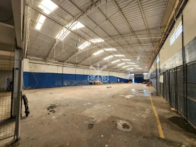 Galpão/Depósito/Armazém à venda, 1000m² no Imirim, São Paulo