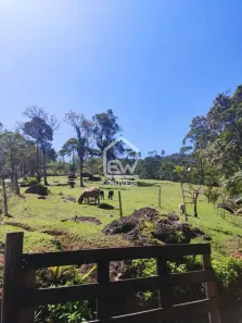 Fazenda/Sítio com 2 Quartos à venda, 103m² no Barra do Rio Molha, Jaraguá do Sul