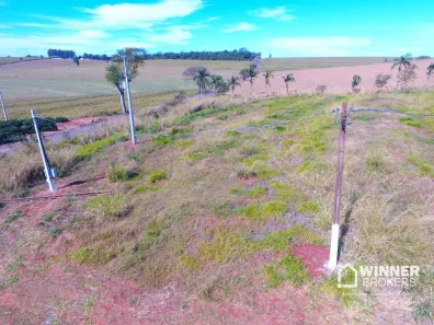 Fazenda/Sítio à venda, 10000m² no Jardim Primavera, Sabáudia