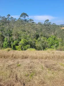 Lote/Terreno à venda, 250m² no Cézar de Souza, Mogi das Cruzes