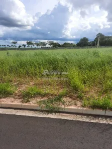 Lote/Terreno à venda, 405m² no Jardim Vitagliano, São José do Rio Preto