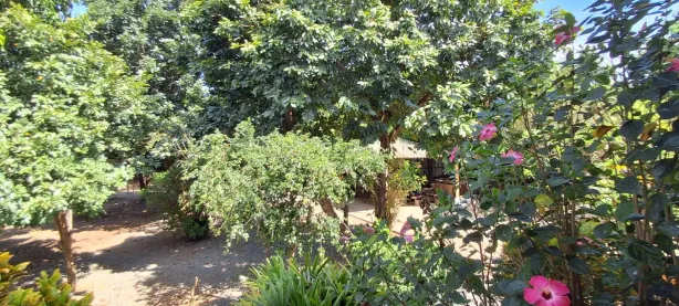 Fazenda/Sítio com 3 Quartos à venda, 200m² no Morada dos Pássaros, Aparecida de Goiânia