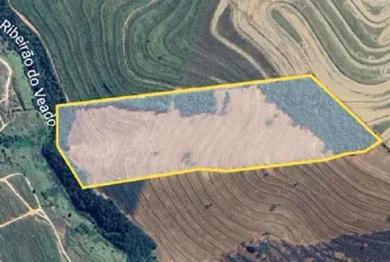 Fazenda/Sítio à venda, 242000m² no Santa Eliza, Umuarama