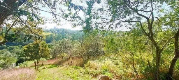 Lote/Terreno à venda, 800m² no Vista Alegre, Vinhedo