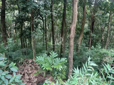 Lote/Terreno à venda, 2652m² no Retiro do Chalé (Piedade do Paraopeba), Brumadinho
