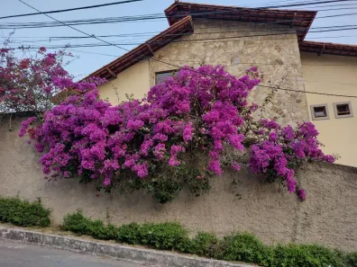 Casa com 5 Quartos à venda, 590m² no São Francisco, Niterói