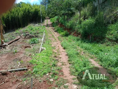 Lote/Terreno à venda, 290m² no Atibaia Belvedere, Atibaia