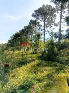 Fazenda/Sítio com 2 Quartos à venda, 100m² no Neópolis, Gravataí