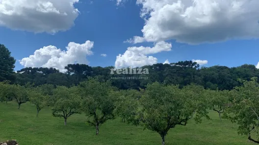 Lote/Terreno à venda, 800m² no Mato Queimado, Gramado