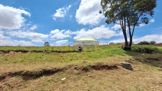 Lote/Terreno à venda, 1650m² no Pineville, Pinhais