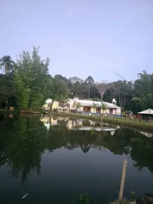 Fazenda/Sítio com 6 Quartos à venda, 600m² no Jardim Camargo (Canguera), São Roque