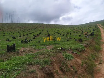 Lote/Terreno à venda, 1000m² no Pouso Alegre, Santa Isabel