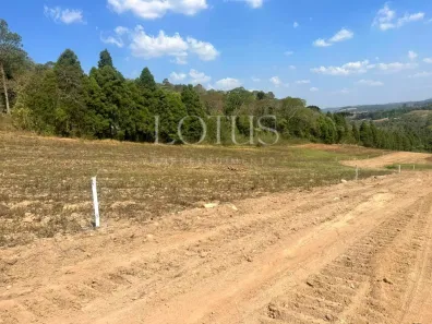 Lote/Terreno à venda, 500m² no Santana, Cotia