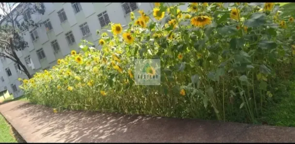Apartamento com 3 Quartos à venda, 73m² no Jundiaí, Anápolis