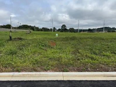 Lote/Terreno à venda, 250m² no Centro, Piraquara
