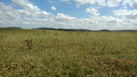 Lote/Terreno à venda, 20000m² no , Cordisburgo