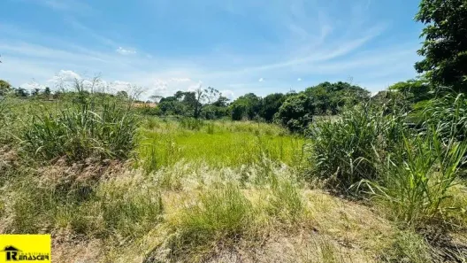 Lote/Terreno à venda, 2400m² no Loteamento Parque dos Pássaros, São José do Rio Preto