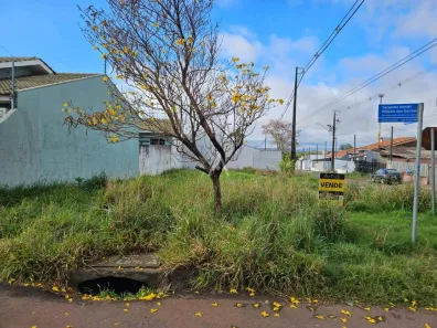 Lote/Terreno à venda, 257m² no Santa Felicidade, Cascavel