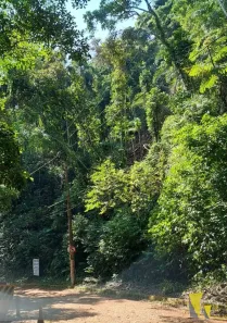 Lote/Terreno à venda, 800m² no Félix, Ubatuba