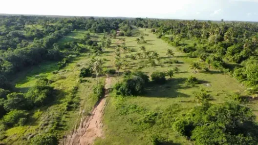 Fazenda/Sítio com 4 Quartos à venda, 497000m² no , Extremoz