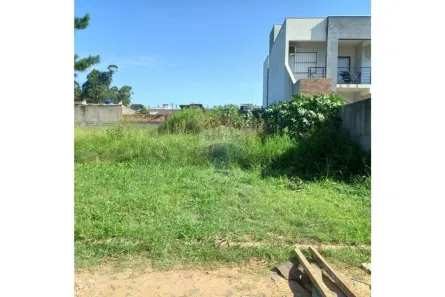 Lote/Terreno à venda, 250m² no Águas Mortas, Gravataí