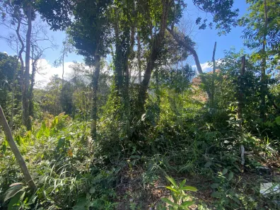 Lote/Terreno para alugar, 500m² no Arraial D'Ajuda, Porto Seguro