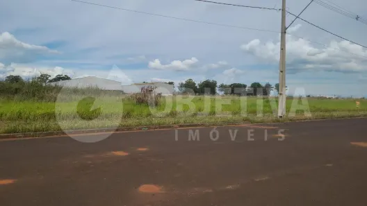 à venda, 5000m² no Loteamento Centro Empresarial Leste II, Uberlândia