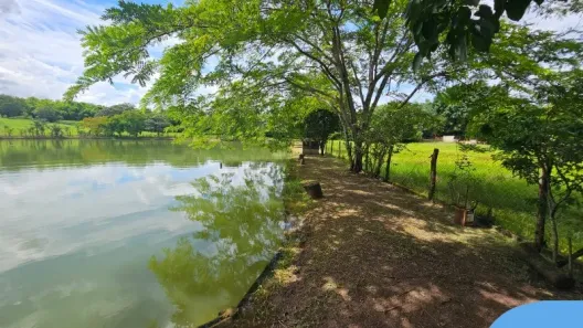 Fazenda/Sítio com 6 Quartos à venda, 169400m² no Santuário, Trindade