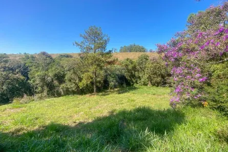 Lote/Terreno à venda, 2800m² no São Pedro, Juiz de Fora
