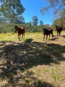 Lote/Terreno à venda, 1500m² no Carafá, Votorantim