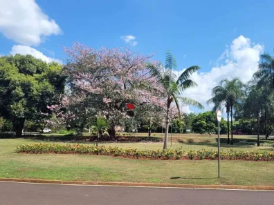 Lote/Terreno à venda, 960m² no Royal Park, Ribeirão Preto