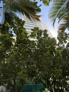 Apartamento com 3 Quartos para alugar, 101m² no Boa Viagem, Recife