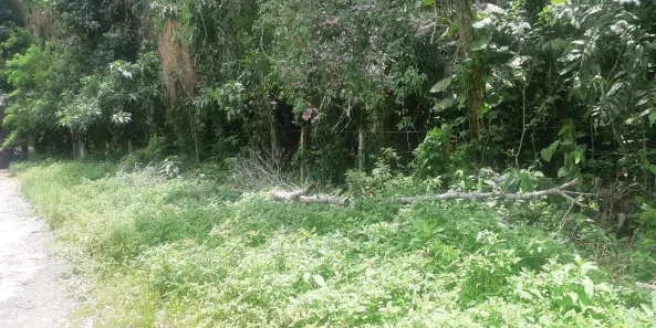 Lote/Terreno à venda, 2460m² no Várzea das Moças, Niterói