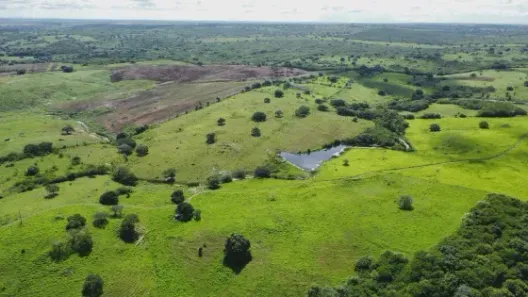 Fazenda/Sítio com 3 Quartos à venda, 200000m² no , Monte Alegre