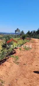 Fazenda/Sítio com 1 Quarto à venda, 20000m² no Parque São Luiz, Jundiaí