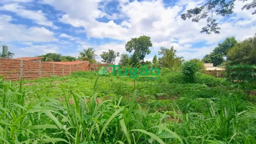 Fazenda/Sítio à venda, 1000m² no Estância Nova Veneza (Zona Rural), São José do Rio Preto