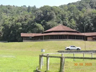 Fazenda/Sítio com 12 Quartos à venda, 3000m² no Das Palmeiras, Campos Verdes