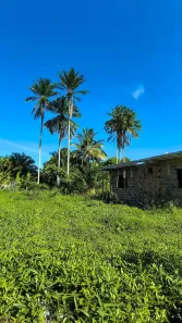Lote/Terreno à venda, 460m² no Loteamento Bosque Ponta da Areia, Itaparica
