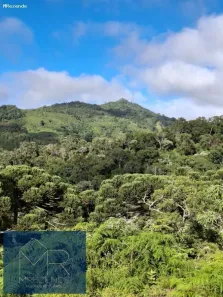 Lote/Terreno à venda, 26143m² no Costas, Paraisópolis