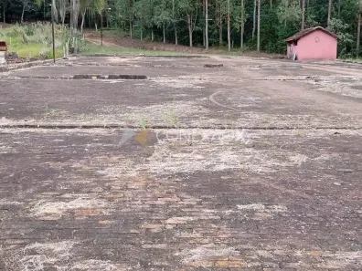 Fazenda/Sítio com 2 Quartos à venda, 50m² no Jacutinga, Jacutinga