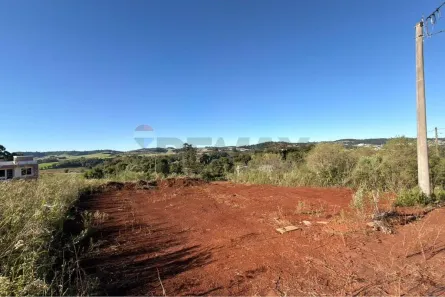 Lote/Terreno à venda, 316m² no Parque Industrial IV, Sarandi