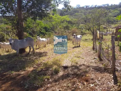 Fazenda/Sítio à venda, 242000m² no , Descalvado